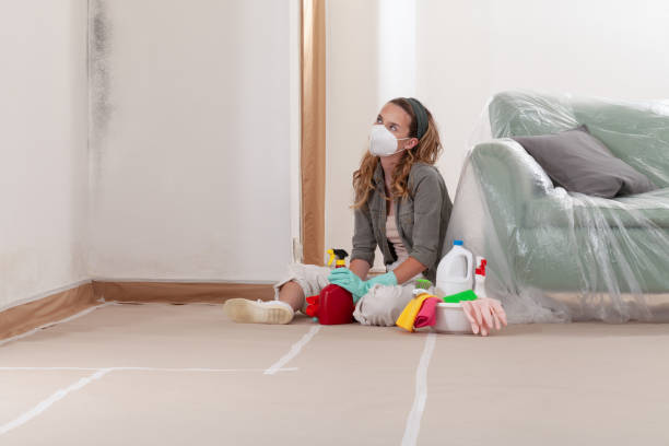 Reliable Mold Inspection And Testing contractor in Woburn, MA by Car Mold Remediation